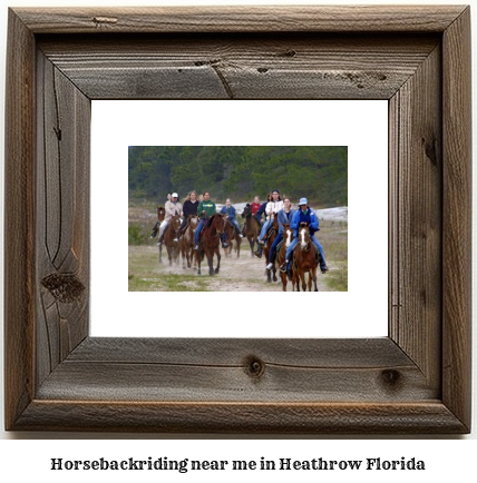 horseback riding near me in Heathrow, Florida